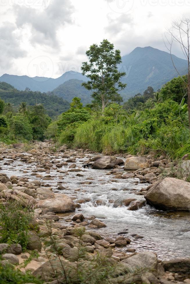 Flow of stream water from the mountain.at Promkiri, Nakhonsithammarat photo