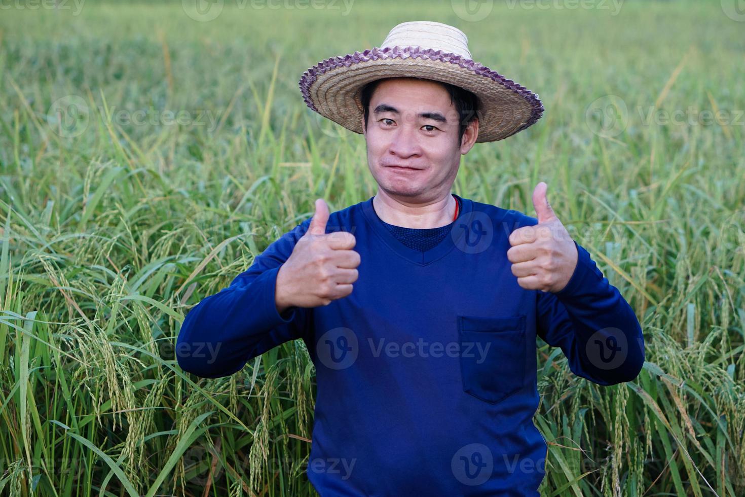 Handsome Asian man farmer is at paddy field , wears hat, blue shirt, two hands thumbs up. Feels confident.  Concept, agriculture occupation, farmer grow organic rice. photo