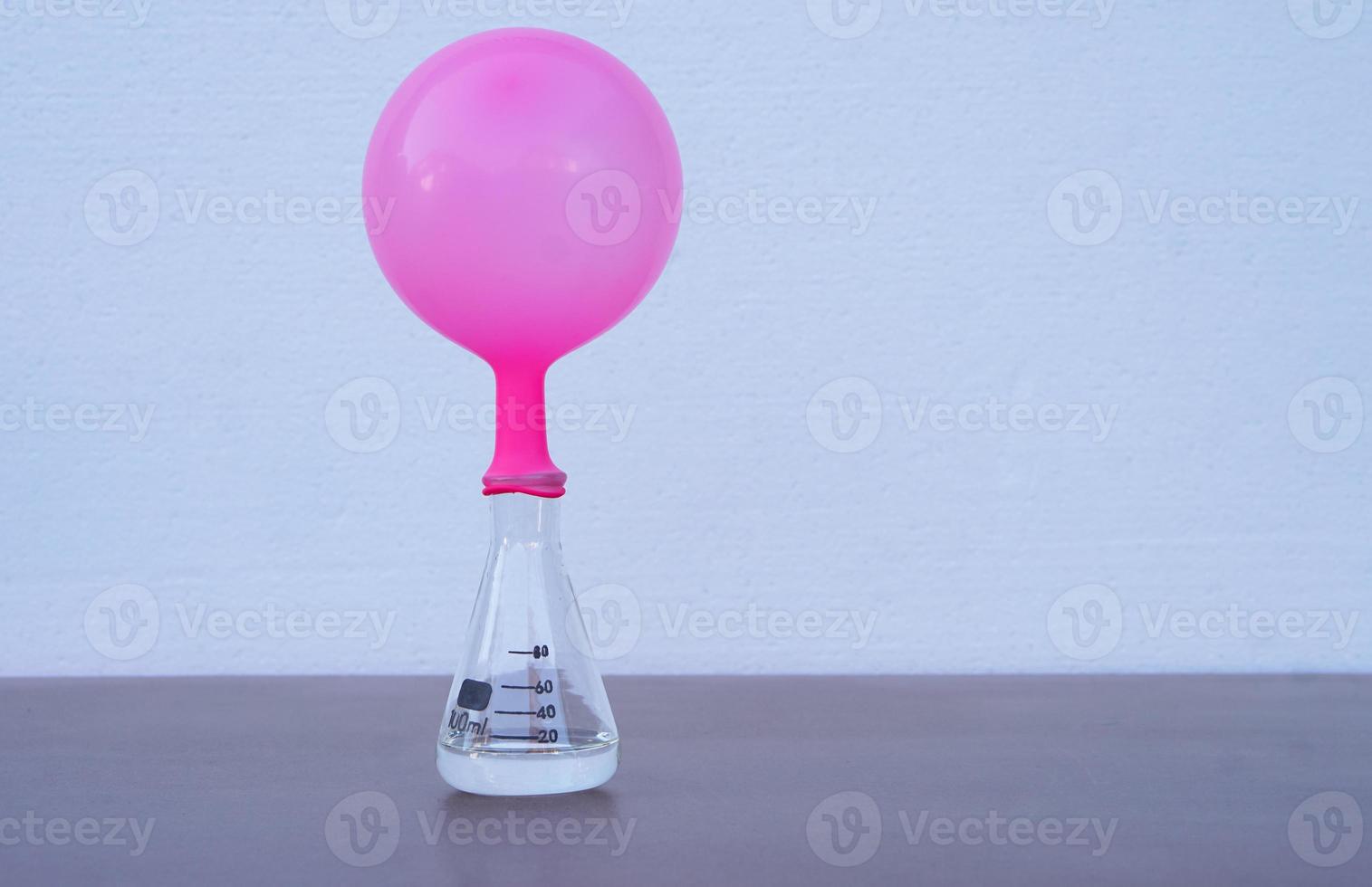 Science experiment , pink inflated balloon  on top of transparent test bottle. The experiment about air or gas reaction.by using baking soda and vinegar.Concept,  Science Education photo