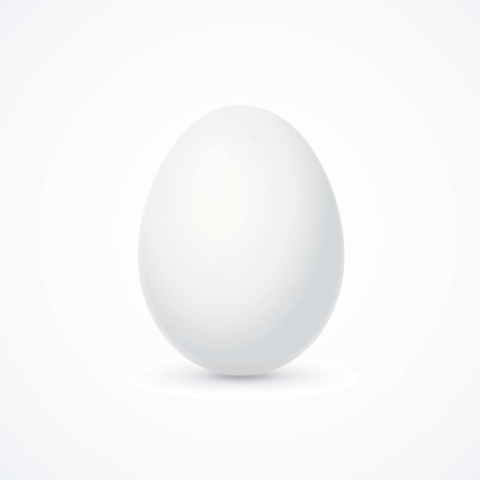 Realistic Detailed 3d White Whole Chicken Egg. Vector