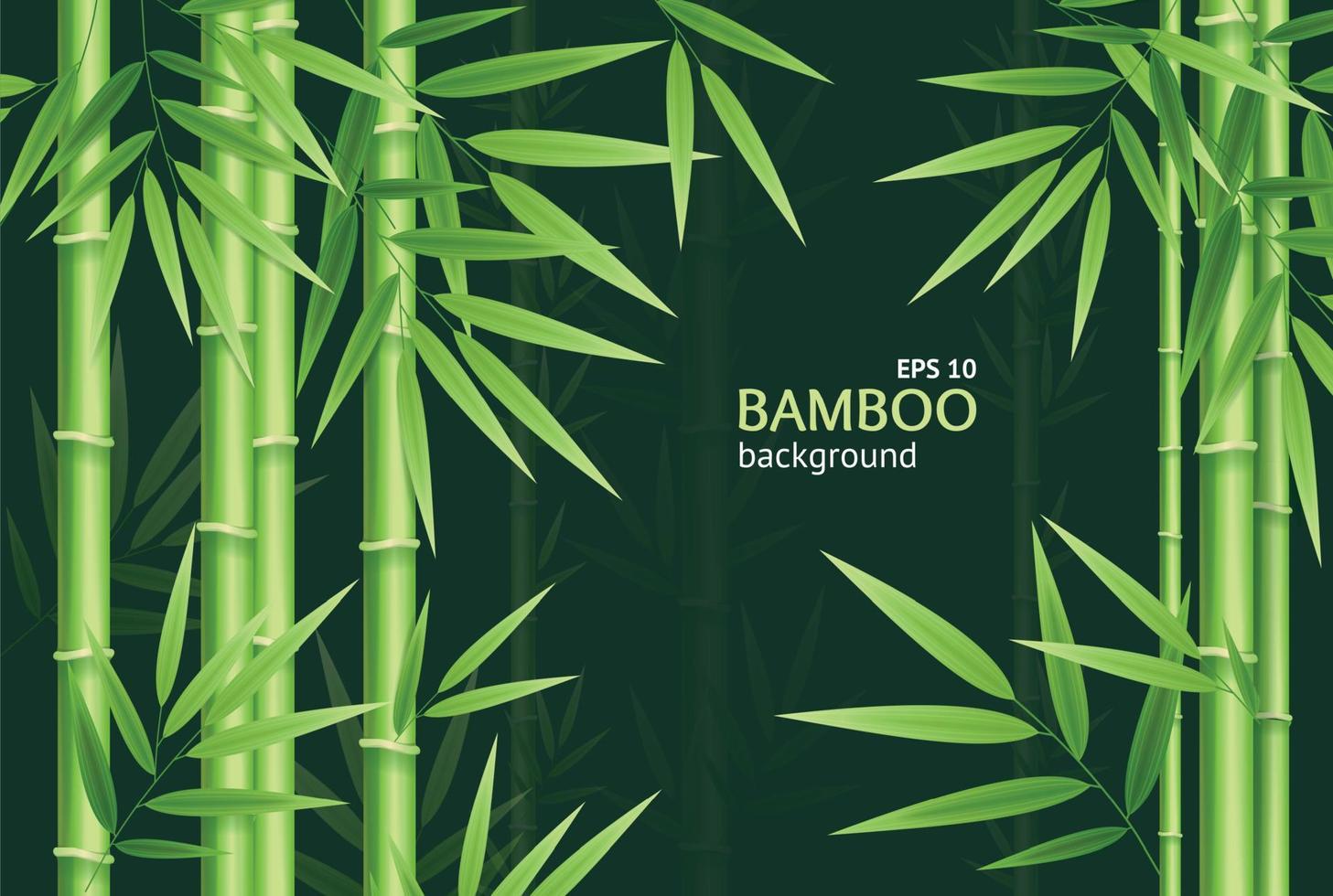 Realistic 3d Detailed Bamboo Chinese Green Plant Background Card. Vector