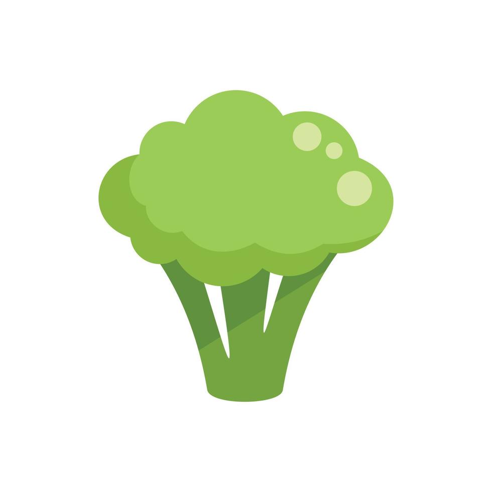 Broccoli icon flat vector. Cabbage food vector