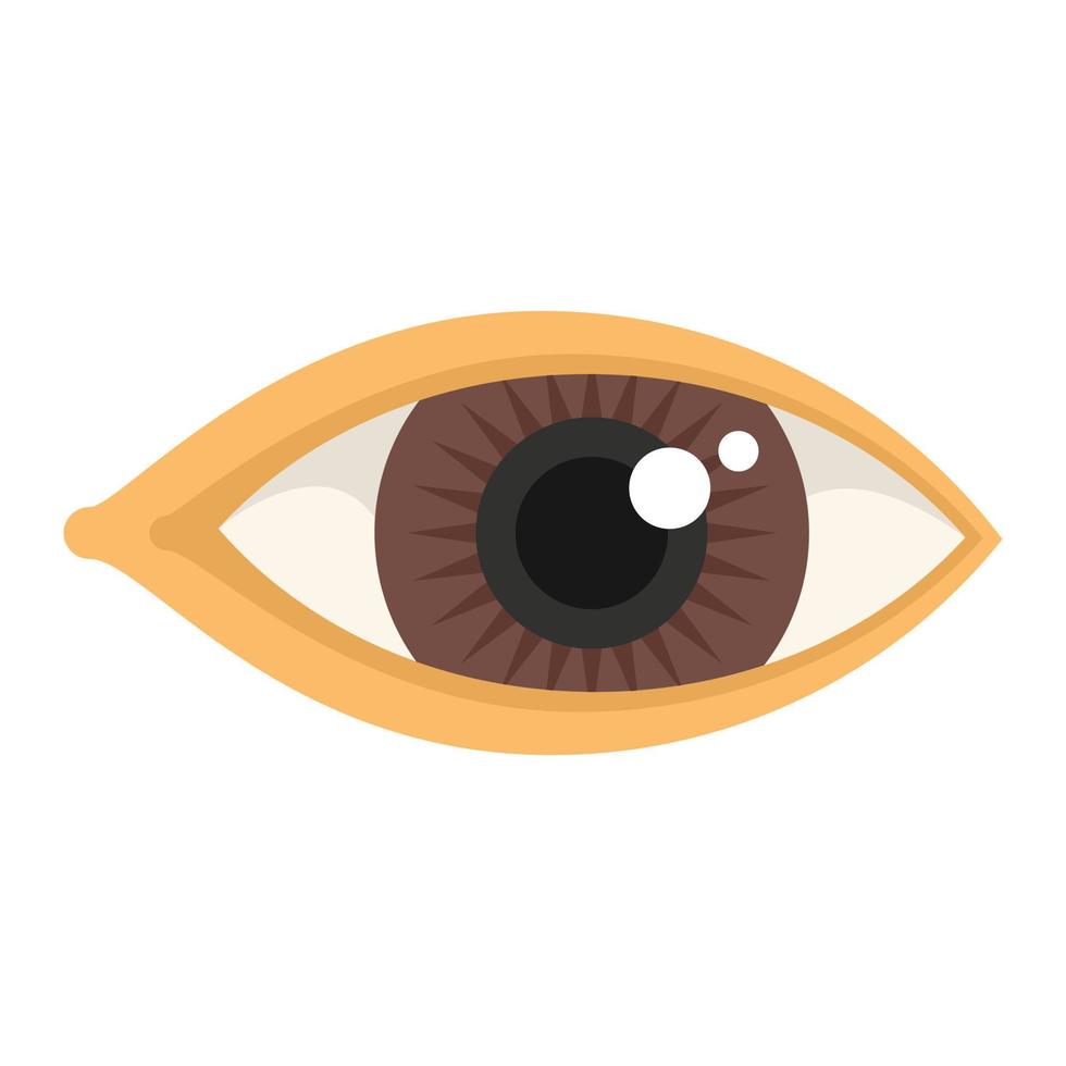 lente ojo icono vector plano. mirada de visión