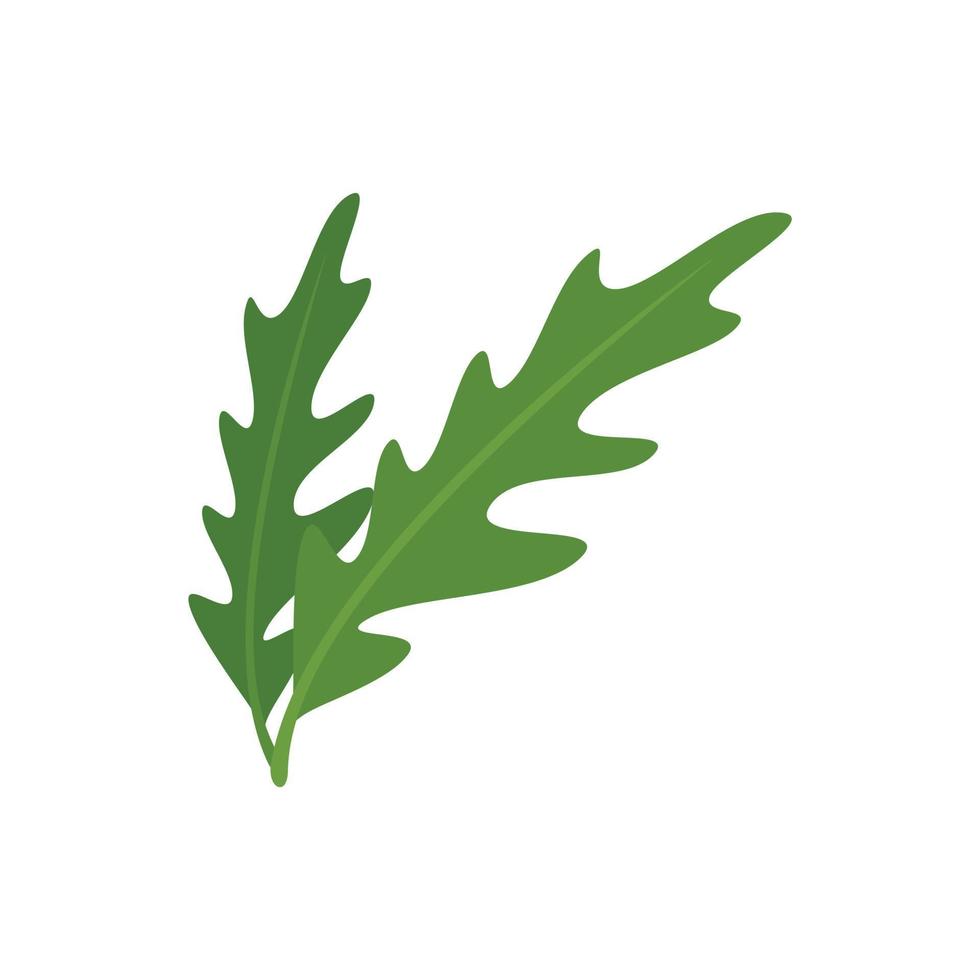 Rucola plant icon flat vector. Vegetable arugula vector