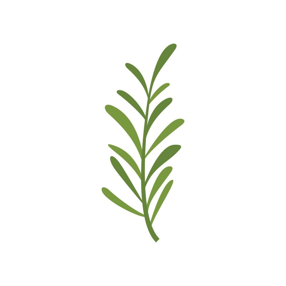 Rosemary herb icon flat vector. Green plant vector