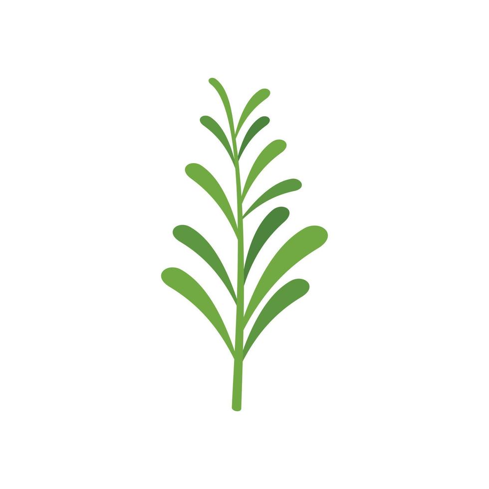 Green rosemary icon flat vector. Herb plant vector