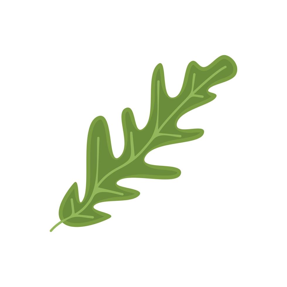 Rucola leaf icon flat vector. Arugula plant vector