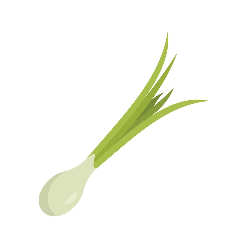 Chive basil icon flat vector. Fresh onion vector