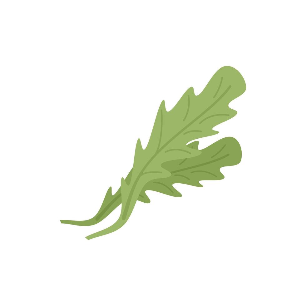 Dill arugula icon flat vector. Rucola salad vector