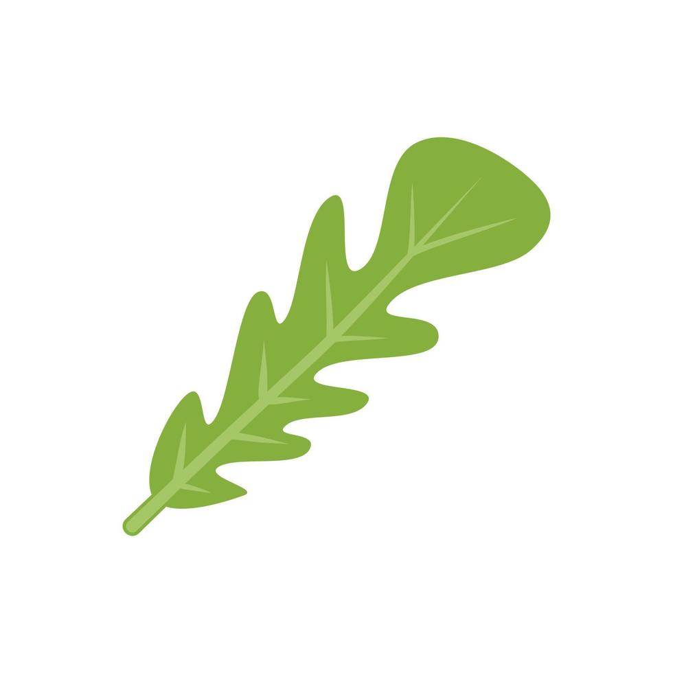 vector plano de icono de rúcula de cocina. vegetales de rúcula