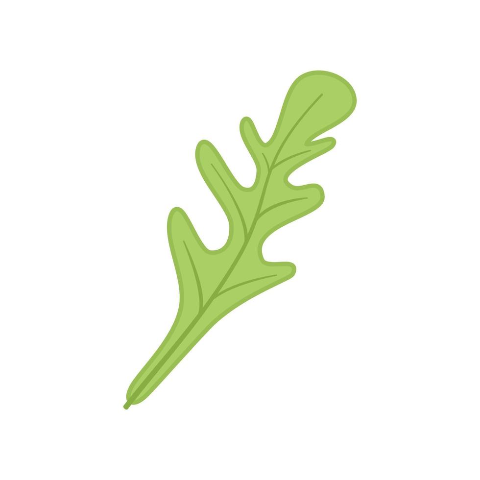 Rucola salad icon flat vector. Arugula leaf vector