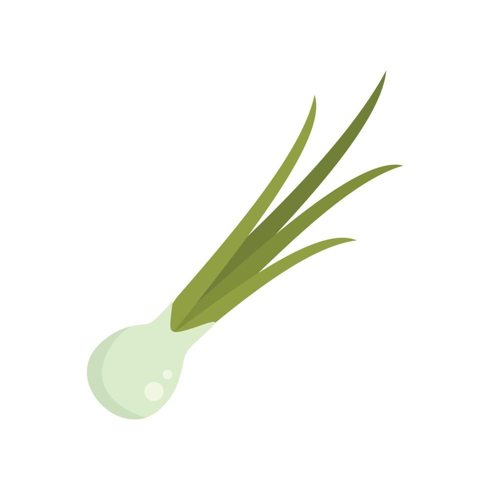 Chop chive icon flat vector. Chinese onion vector