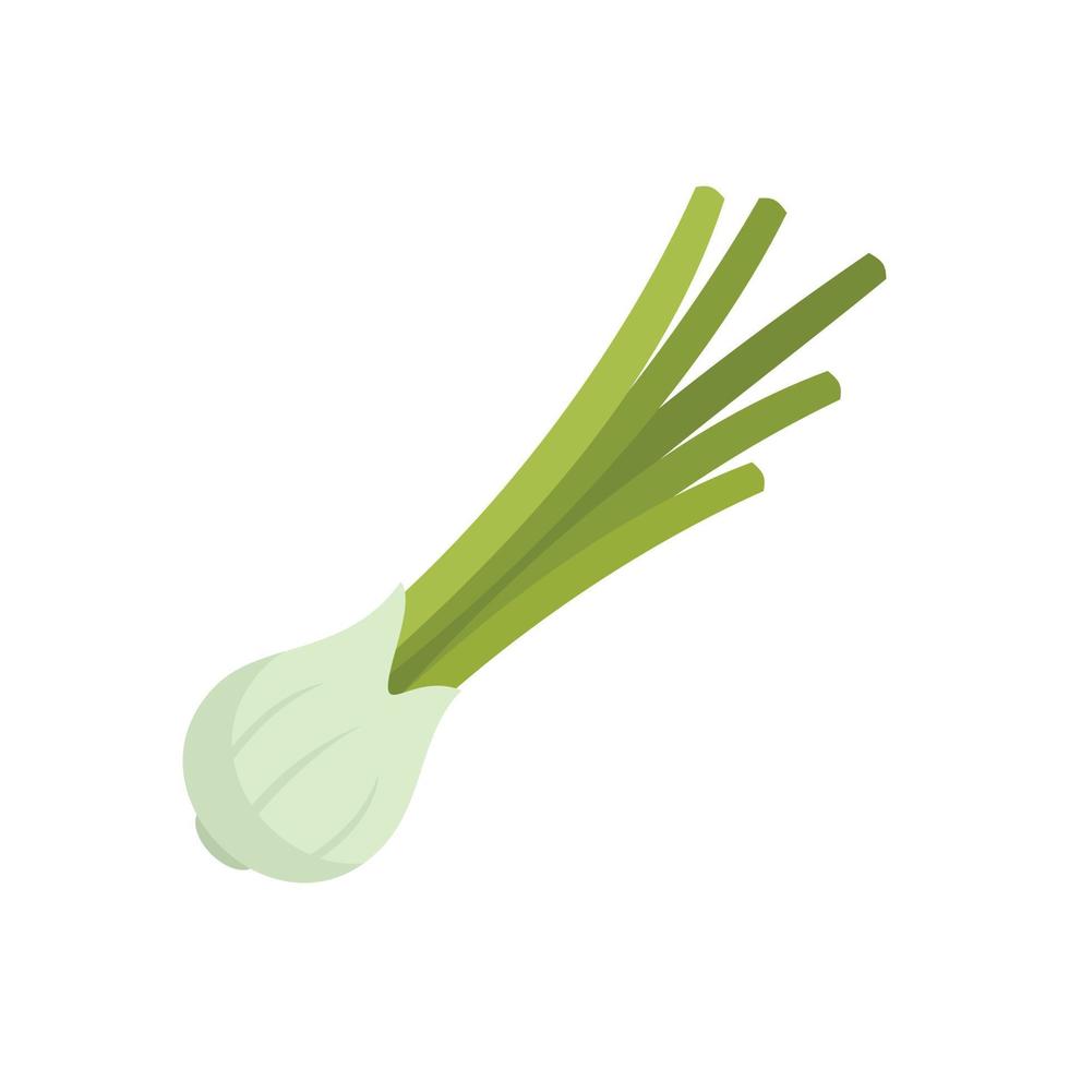 Oregano chive icon flat vector. Chinese onion vector