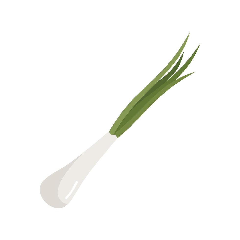 Cut chive icon flat vector. Chinese onion vector