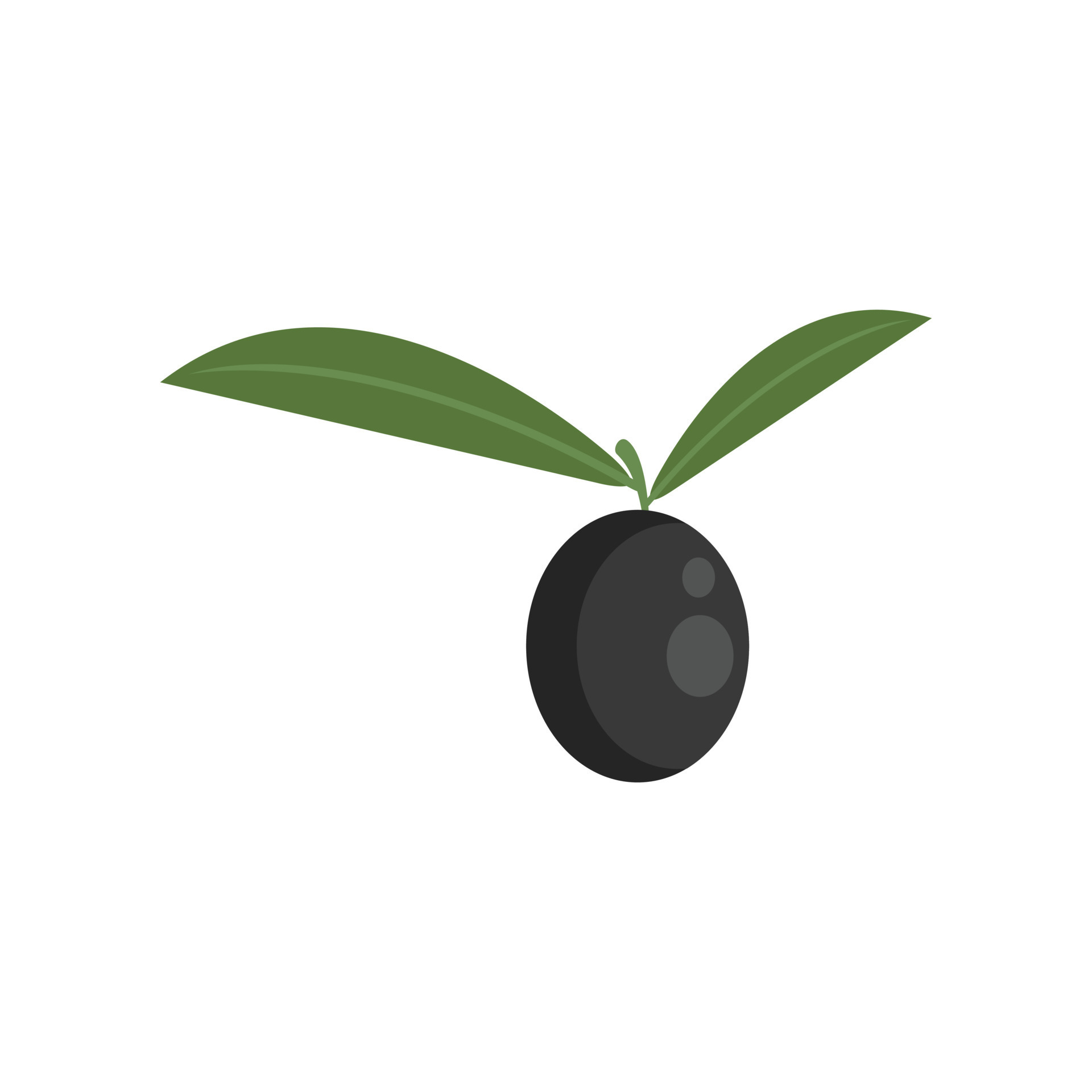 Black olive icon flat vector. Oil green 17337076 Vector Art at Vecteezy