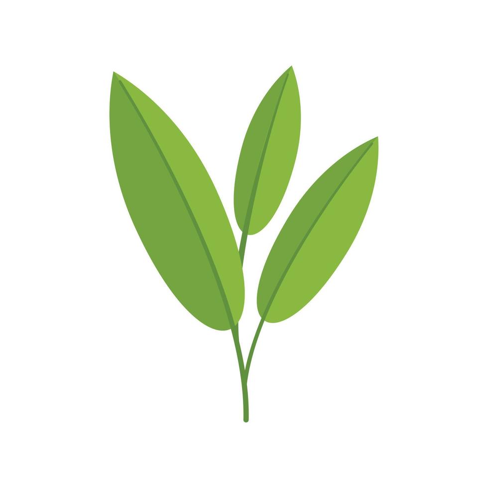 Sage plant icon flat vector. Herb leaf vector