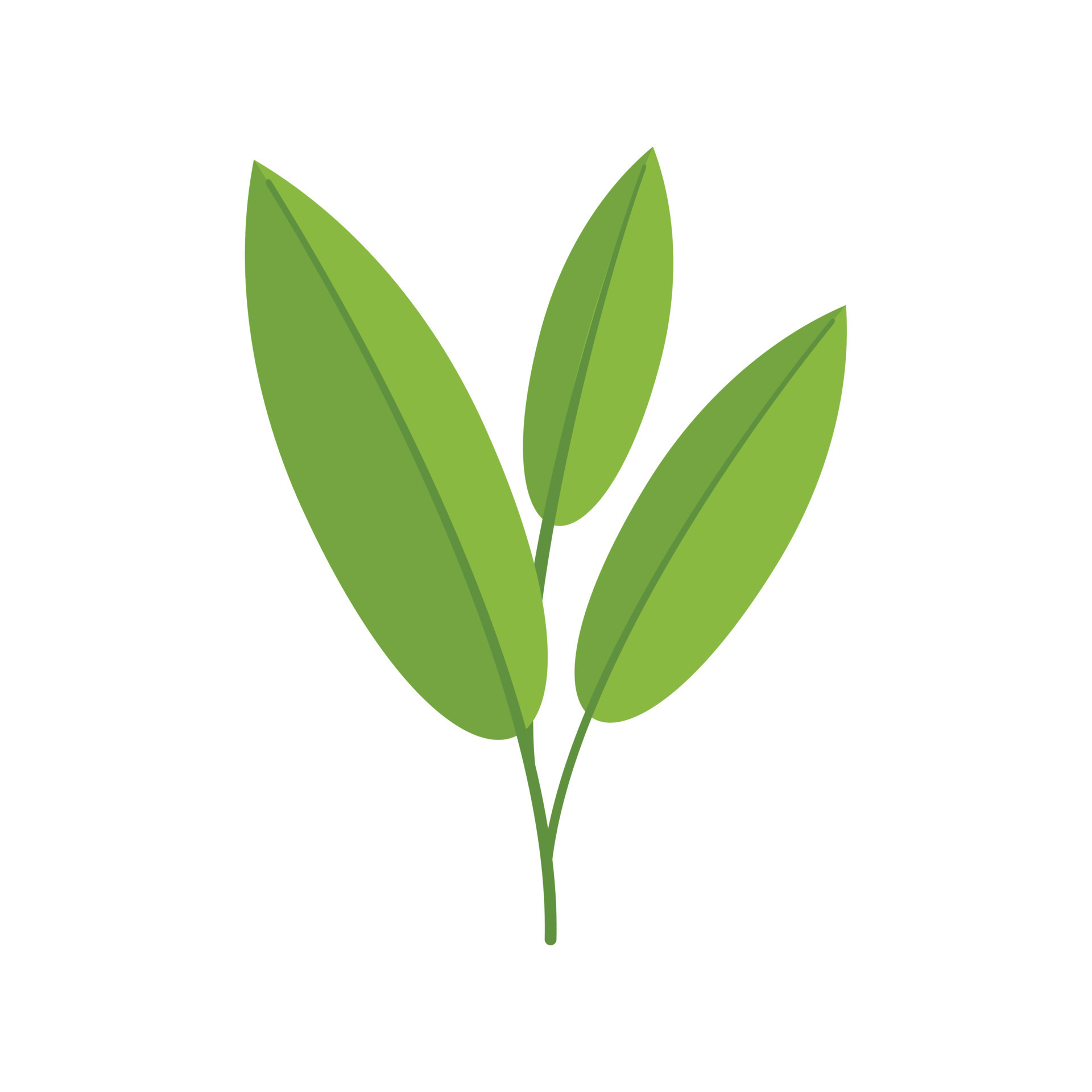 Sage plant icon flat vector. Herb leaf 17337094 Vector Art at Vecteezy