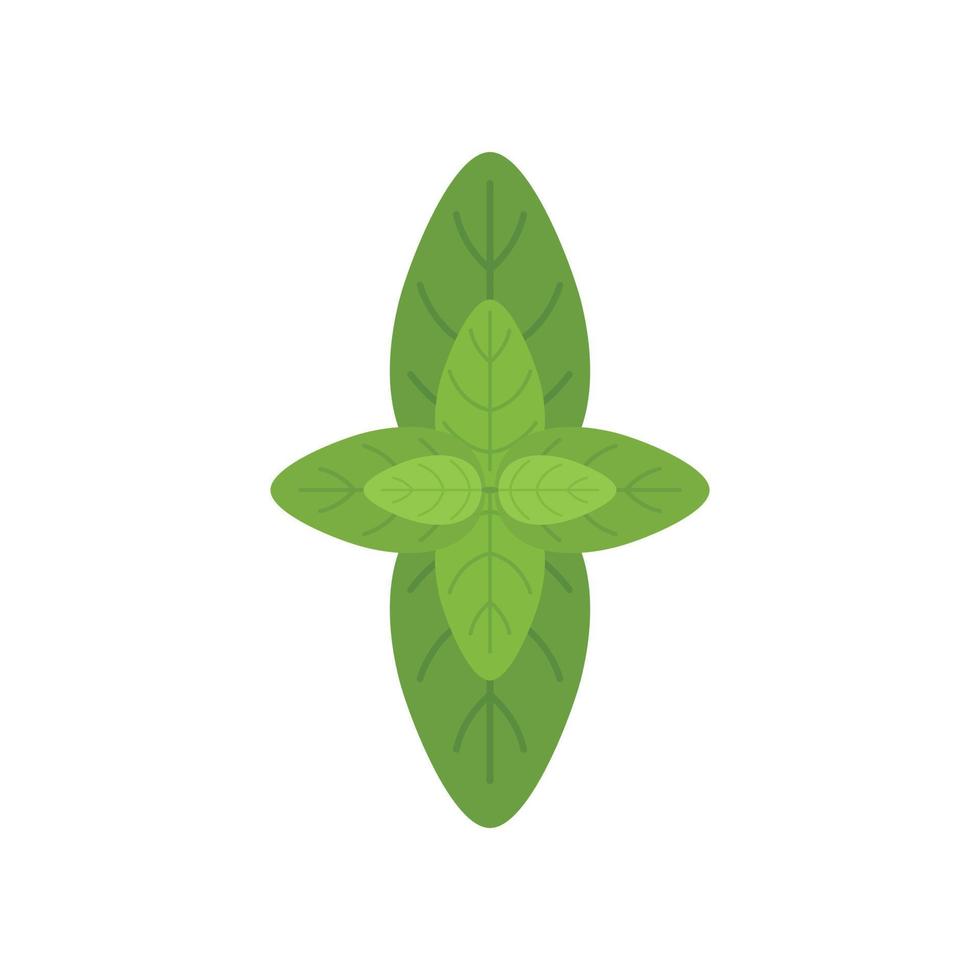 Basil herb icon flat vector. Spice leaf vector