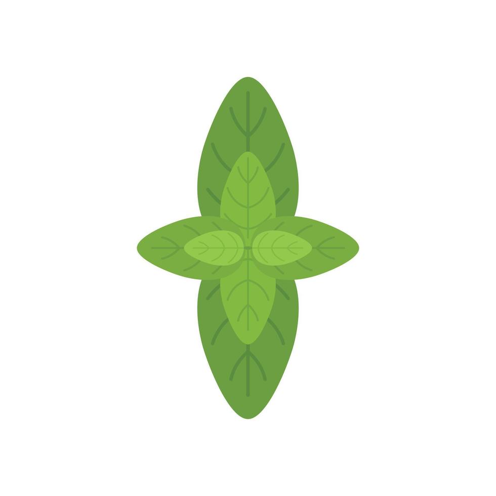 Basil herb icon flat vector. Spice leaf vector