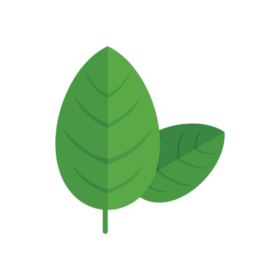 Basil spice leaf icon flat vector. Herb plant vector