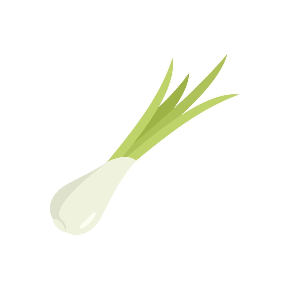 Leaf chive icon flat vector. Fresh onion vector