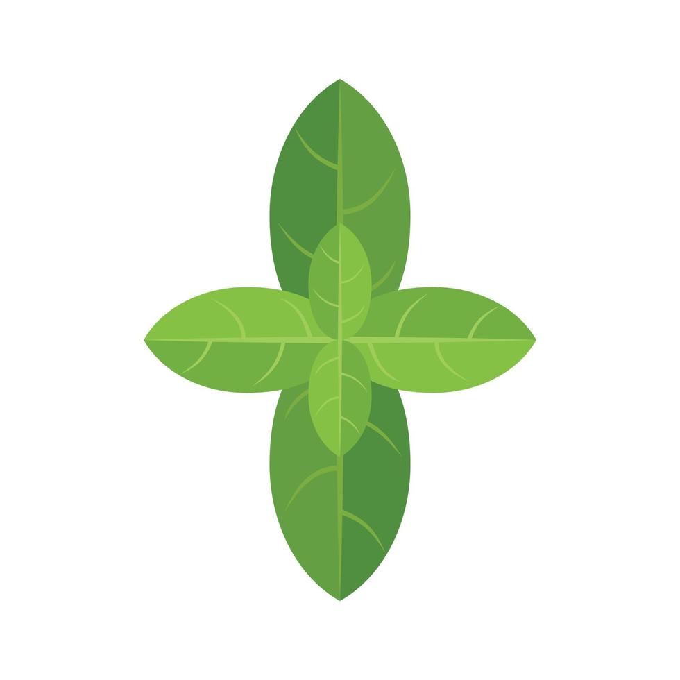 Basil leaves icon flat vector. Herb plant vector