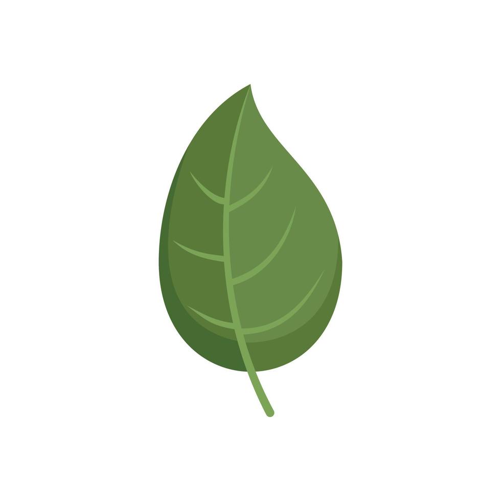 vector plano de icono de hoja de albahaca. hojas de hierba
