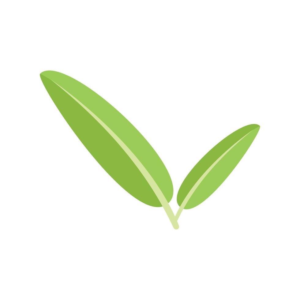 Sage mint icon flat vector. Herb plant vector