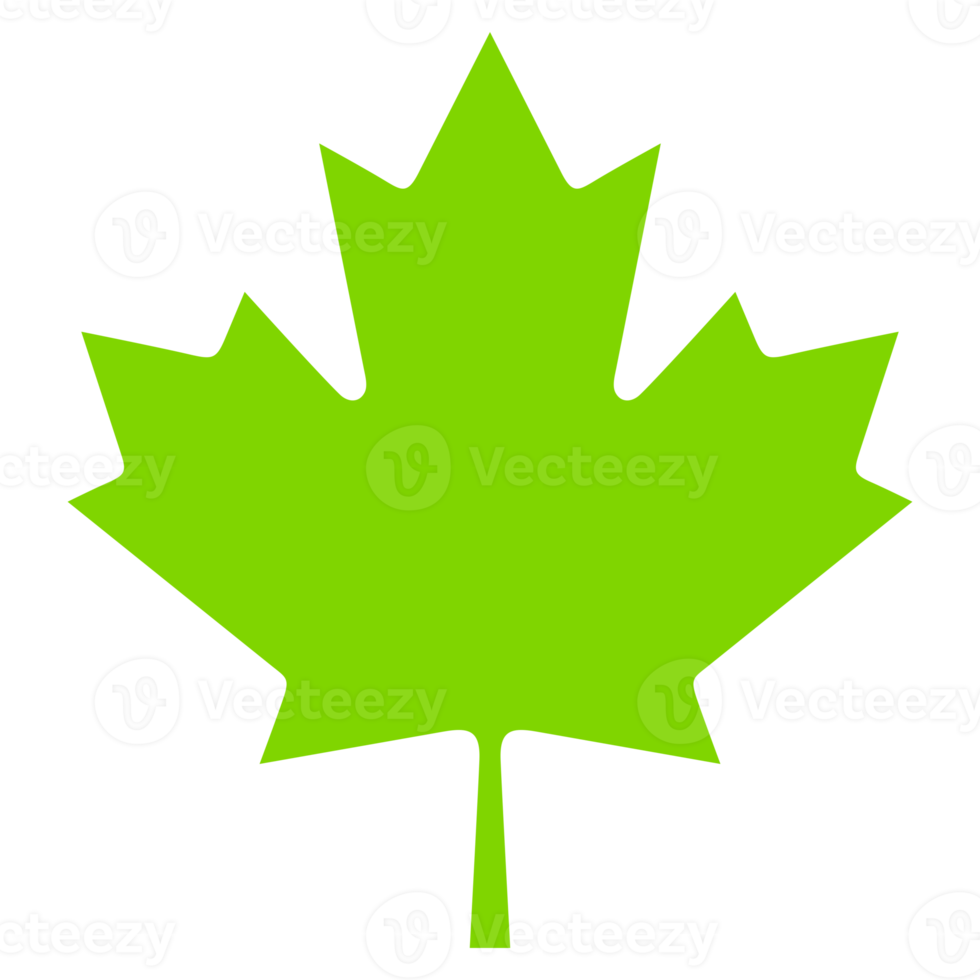 Maple Leaf Icon Symbol for Pictogram, Website, Apps, Art Illustration, or Graphic Design Element. Format PNG