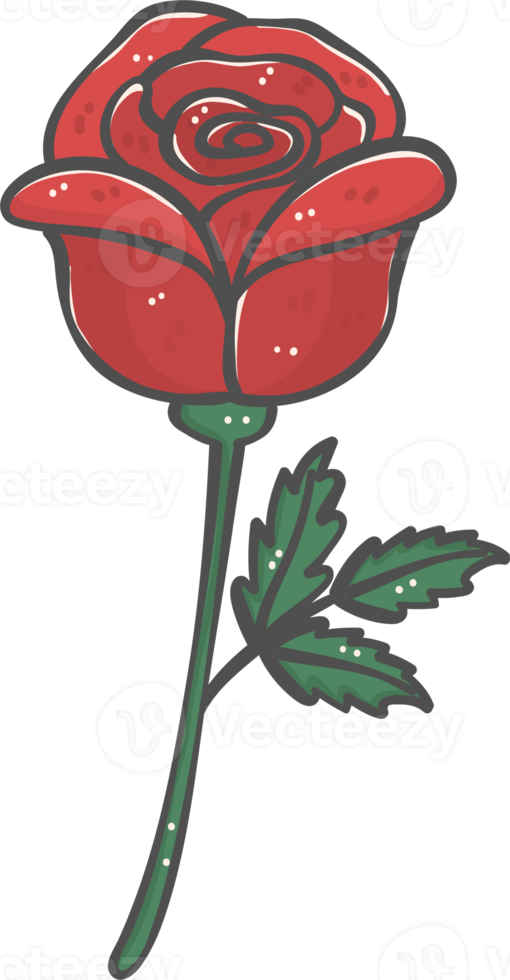 cute sweet Valentine red rose flower cartoon doodle png