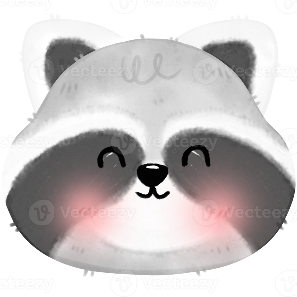 Cute Raccoon illustration png