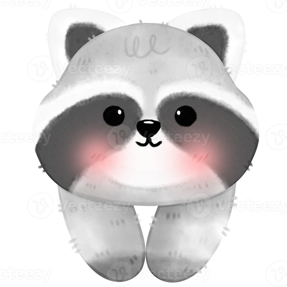 Cute Raccoon illustration png