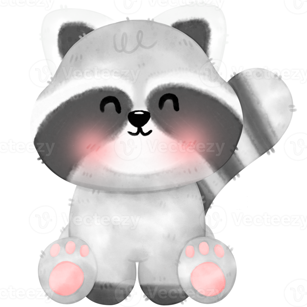 Cute Raccoon illustration png