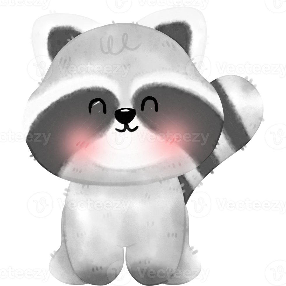 Cute Raccoon illustration png