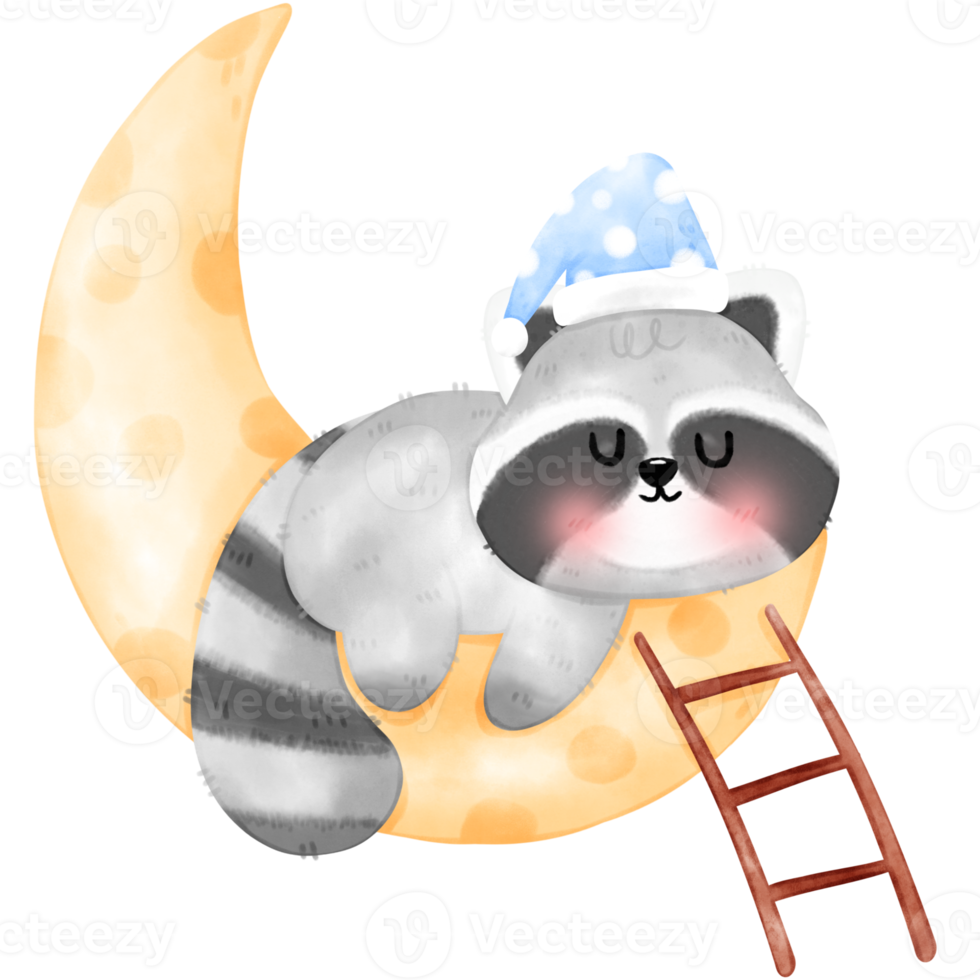 Cute Raccoon illustration png