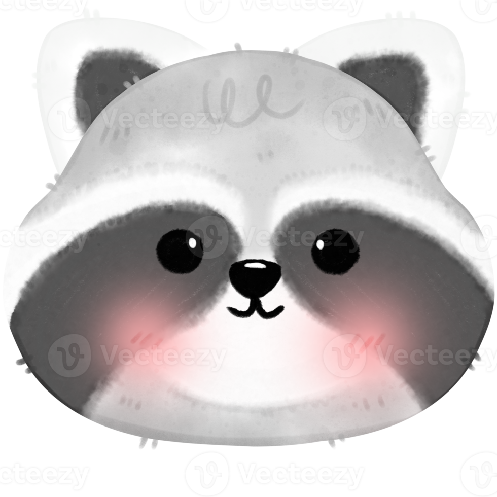 Cute Raccoon illustration png