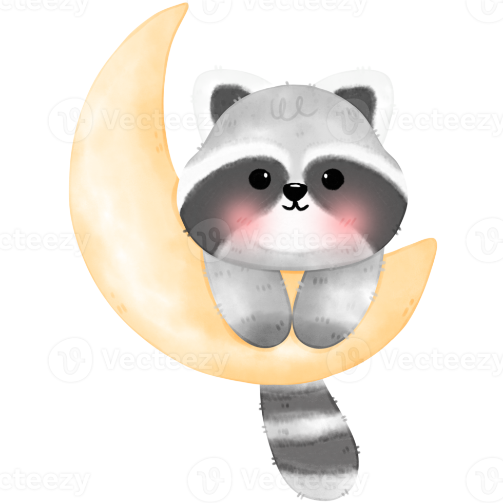 Cute Raccoon illustration png