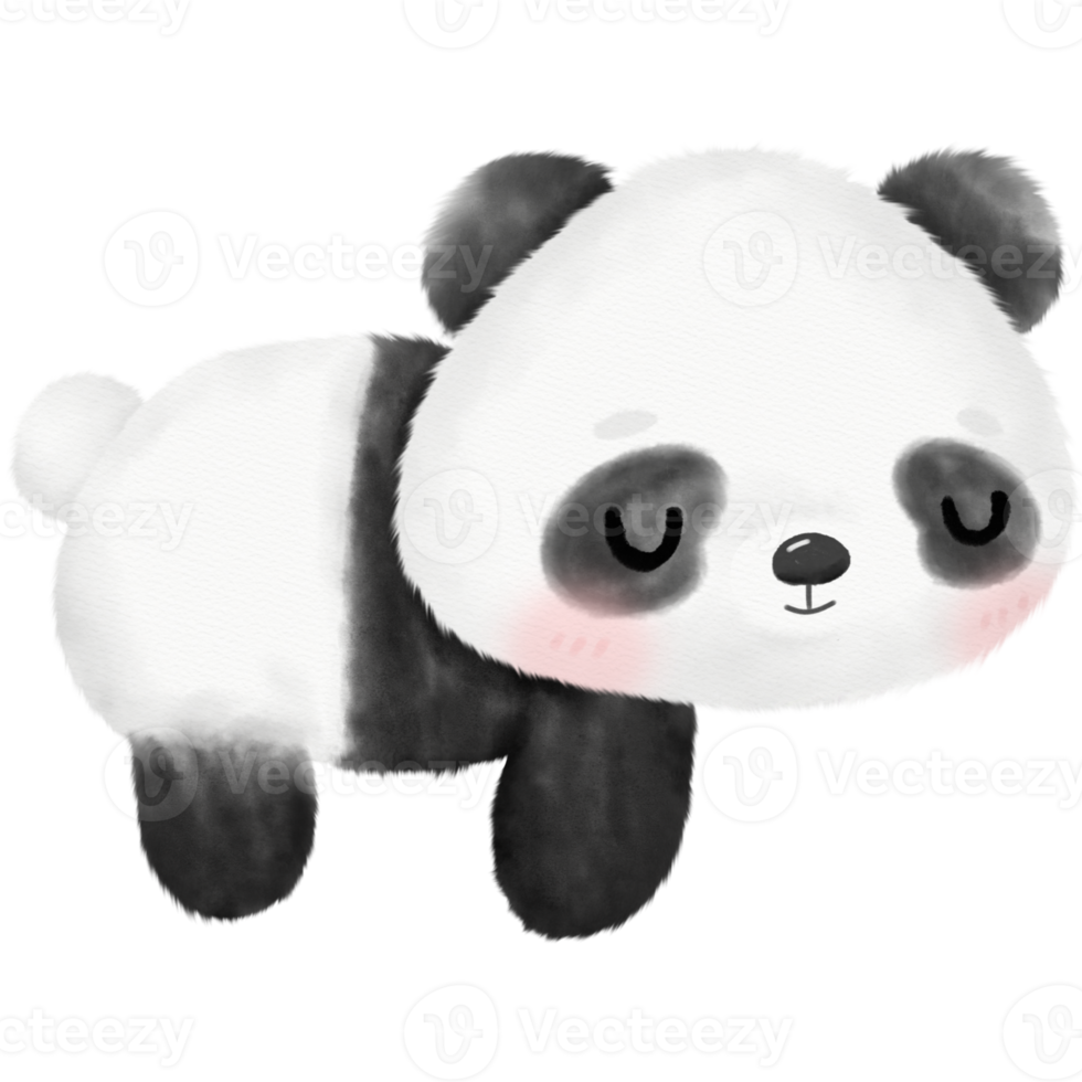 Cute Panda Watercolor illustration png