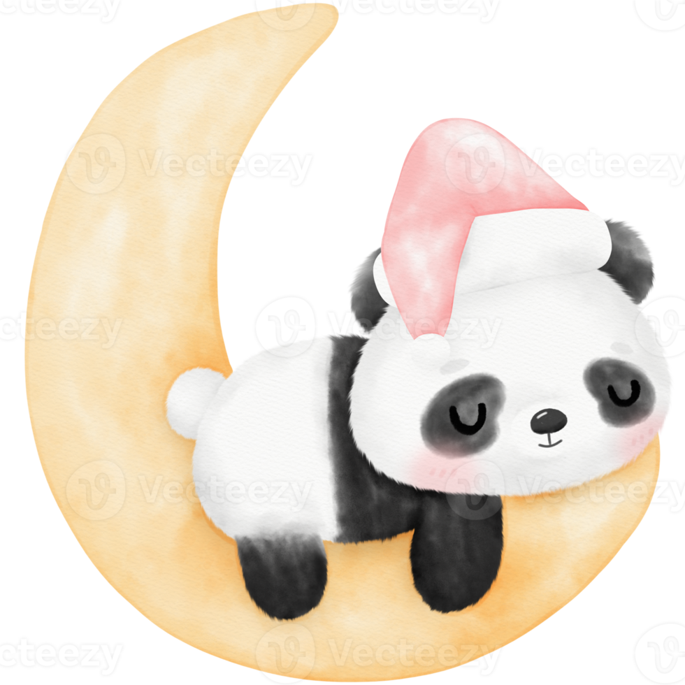 illustration aquarelle de panda mignon png