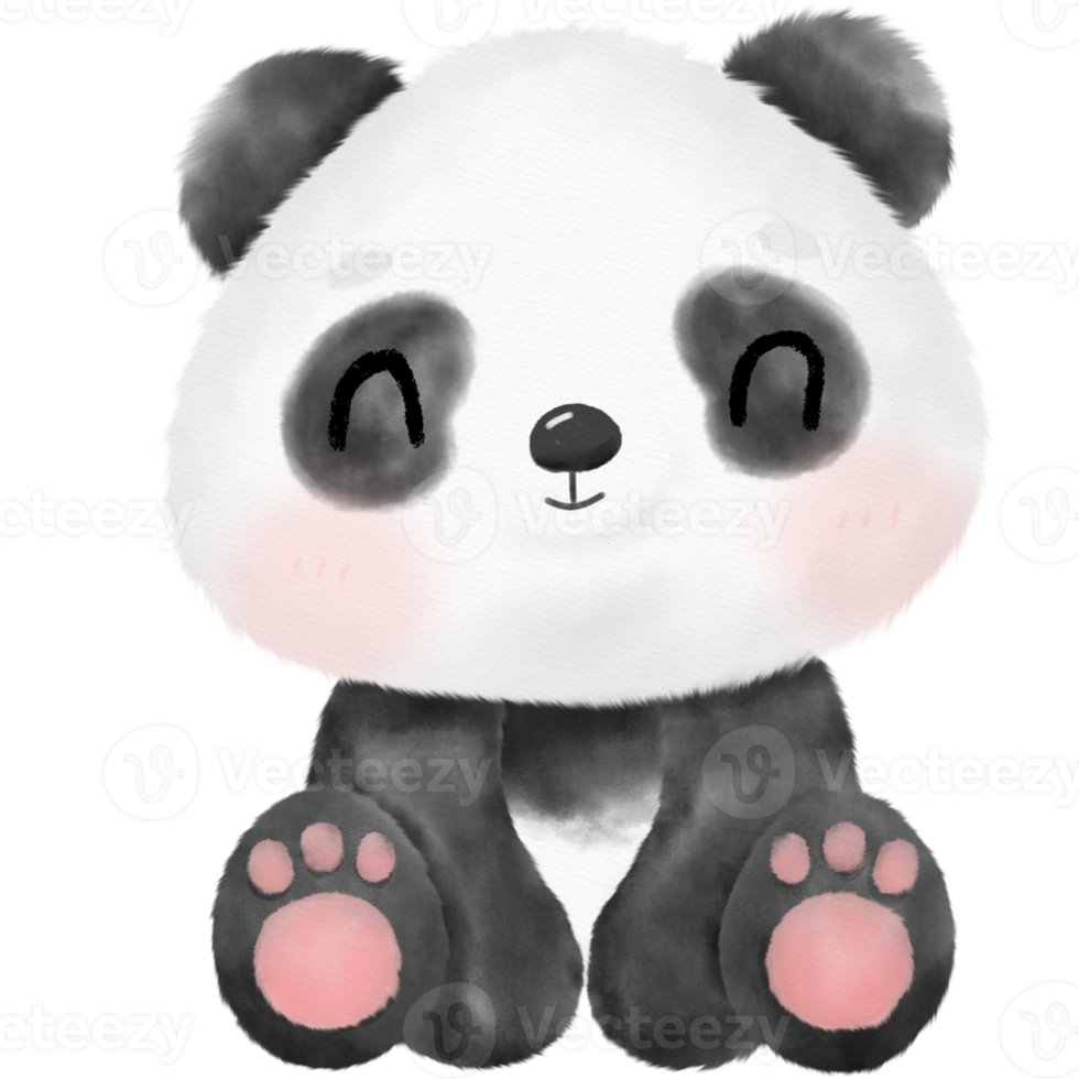 illustrazione dell'acquerello del panda carino png