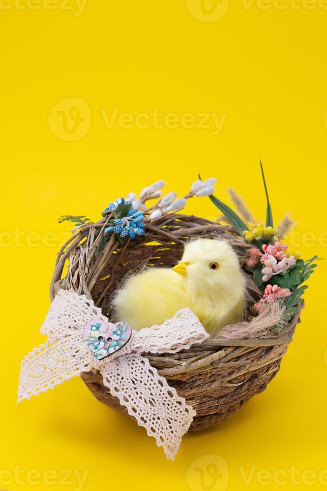 pollito amarillo en nido sobre fondo amarillo. Pascua, cumpleaños. copie el espacio foto