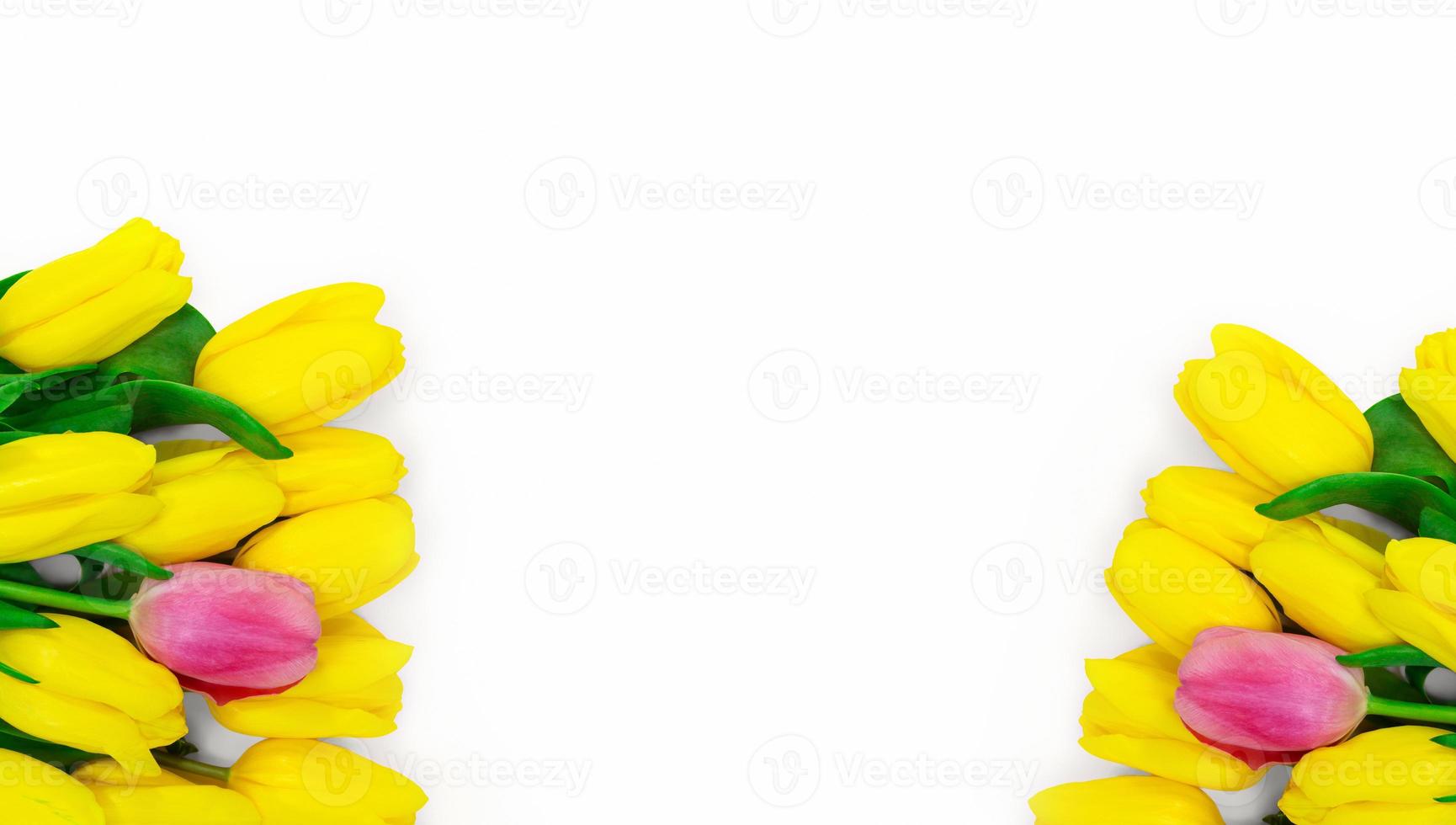 Bouquet of yellow with pink tulips on sides on white background. Congratulatory, floral banner. Isolated. Copy space photo