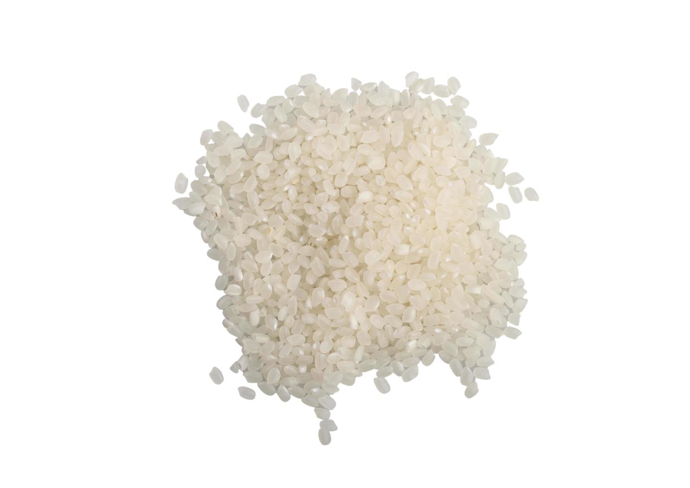 granos de arroz japoneses crudos, granos de arroz japonica. foto