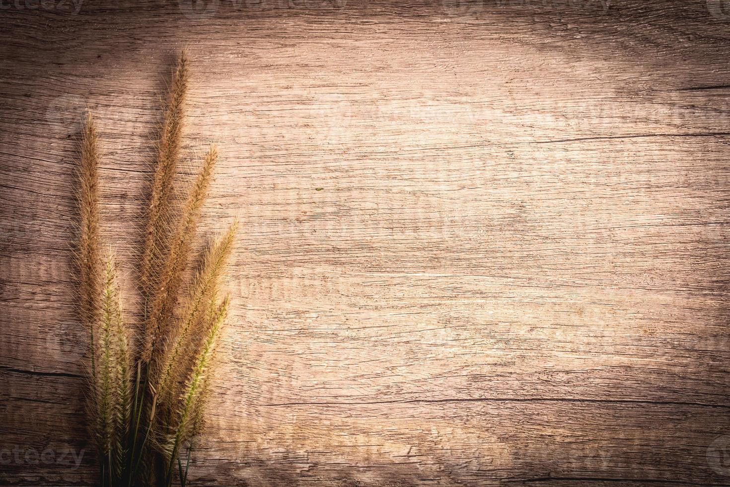 Grass flowers on brown background for frame photo