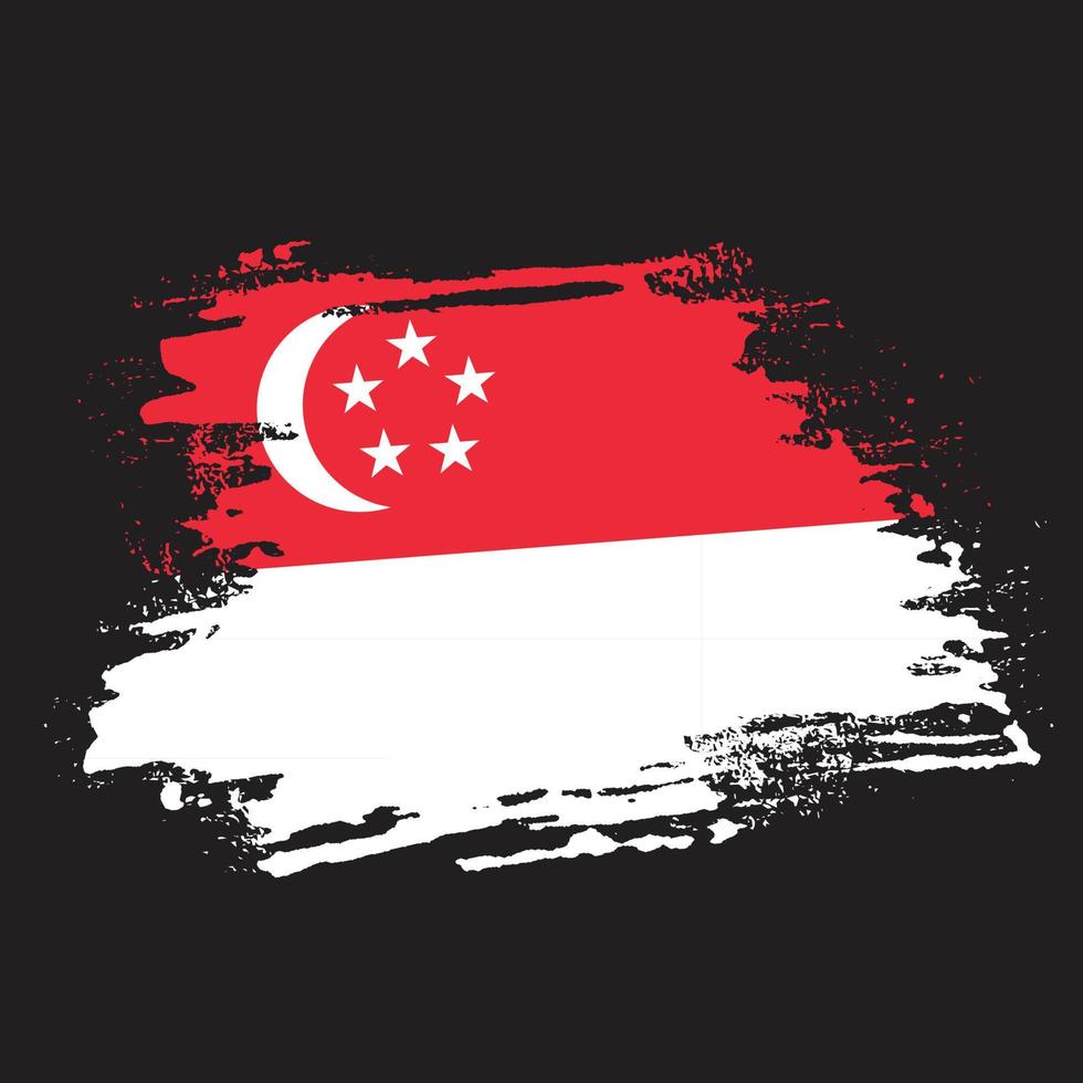 Professional Singapore texture flag vector