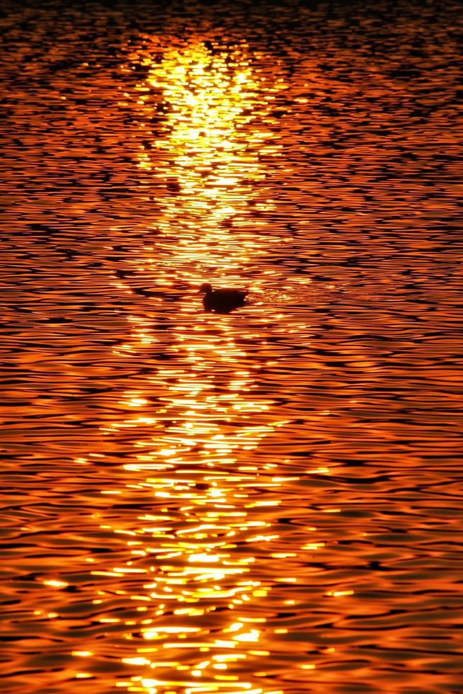 The reflection of light on water in the morning photo