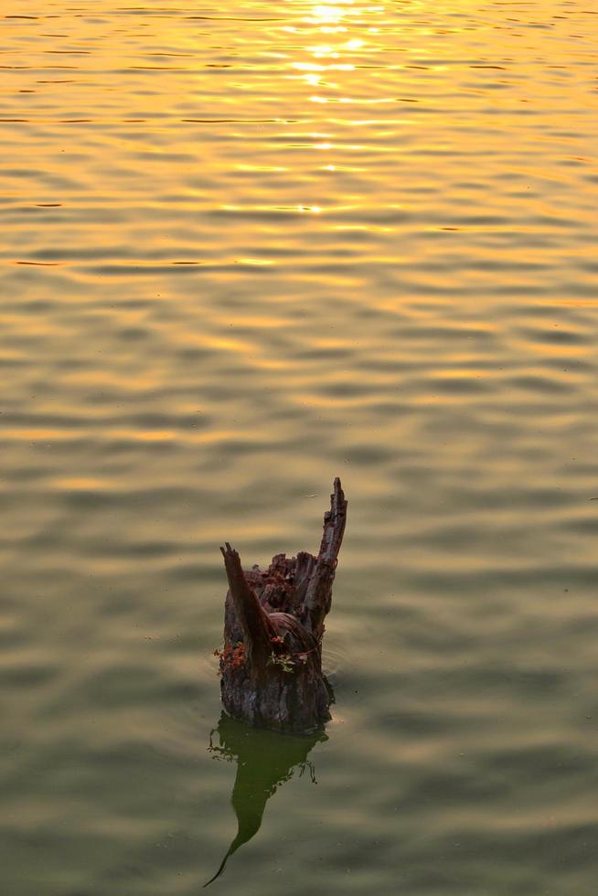 The reflection of light on water in the morning photo