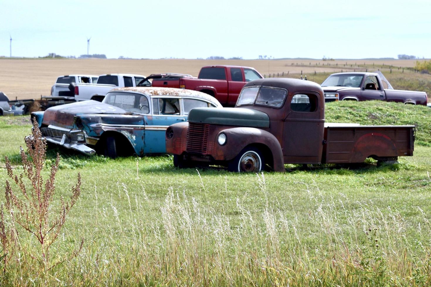 wrecked vehicles in a field photo