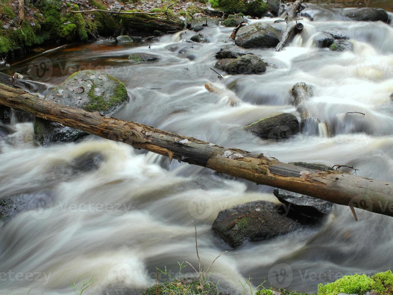 river white water, rapids fast current fallen tree long exposure photo