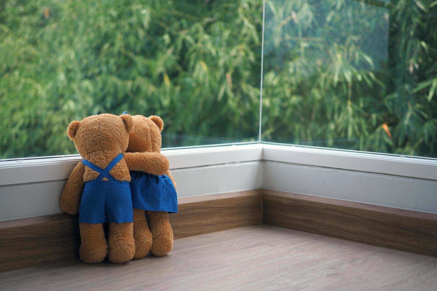 The friendship and relationship of two teddy bears are embracing each other, looking at the view of the bamboo on the window. photo